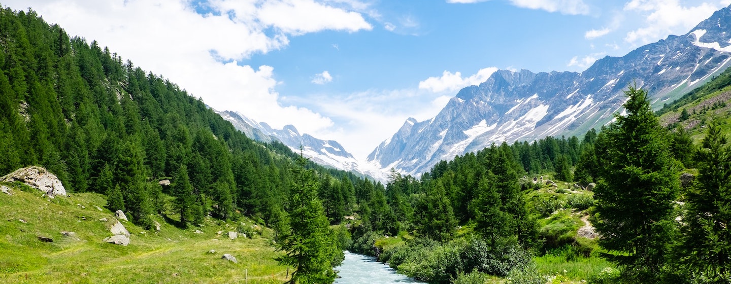 a lush swiss valley with mountains in the distance